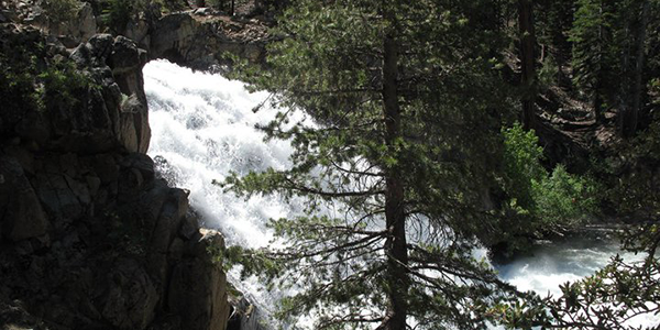 The Falls Trail Ride at Leavitt Meadows Pack Station in the Eastern Sierra back country near Bridgeport, CA